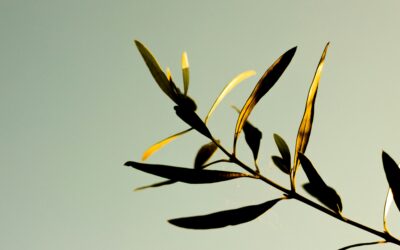 Healing After Narcissistic Abuse: What Recovery Actually Looks Like